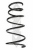 SPIDAN 55229 Coil Spring